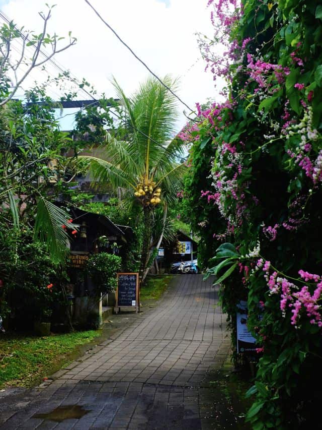 Flower-lined lane in Bangkiang Sidem near Campuhan Ridge Walk