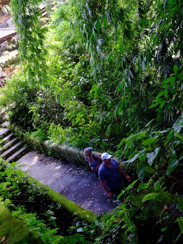 Shaded jungle path and descending trail near the Campuhan Ridge Walk in Ubud