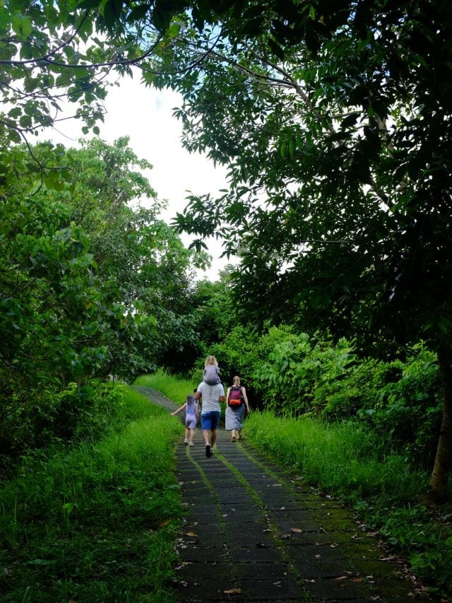 Family walking along a leafy section of the Campuhan Ridge Walk Ubud