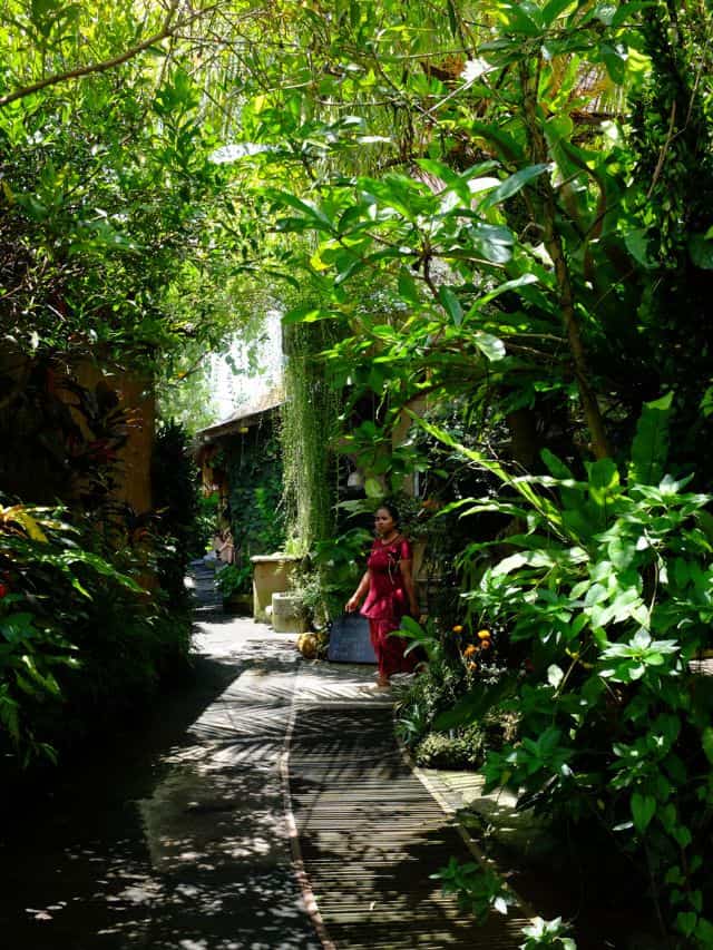 Leafy walkway near Yellow Flower Cafe and Penestanan Village in Ubud