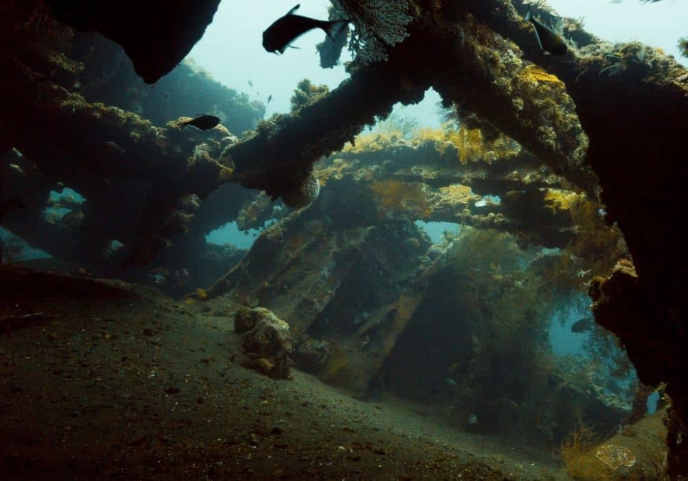 Shipwreck diving in Amed, Bali - USS Liberty Wreck.