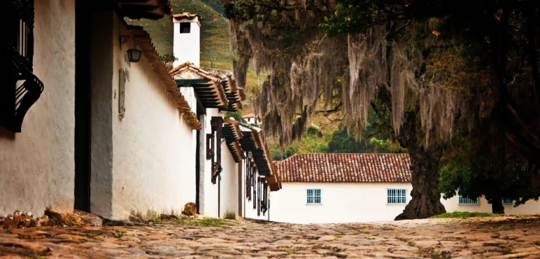 Things to do in Villa de Leyva feaute image cobbled streets and white buildings in the background with large tree