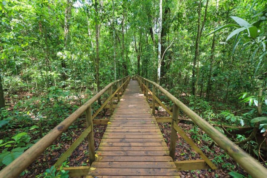 The rainforests are some of the best places to visit in Costa Rica for first time holidaymakers