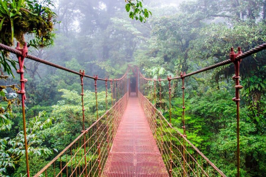 The hanging bridges in Monteverde are one of the best places to visit in Costa Rica for first timers