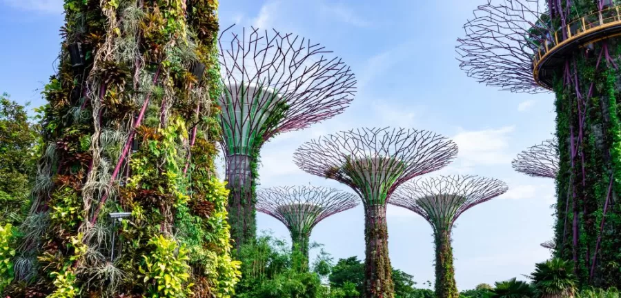 Singapore on a budget