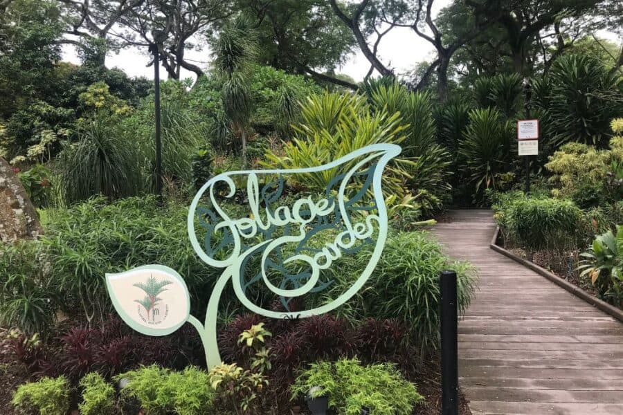 If you're only visiting Singapore for a few days then you should aim to visit the Singapore Botanic Gardens. We really enjoyed spending time walking around the different areas.