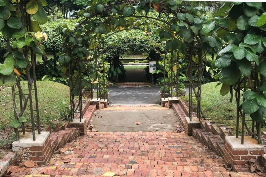 Singapore Botanic Garden. Did you know these bricks were laid by POWs? If you look closely you will find some bricks which have an arrow on them. This represents a subtle defiance by the POW.