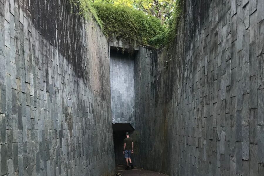 Fort Canning Park Tree Tunnel.