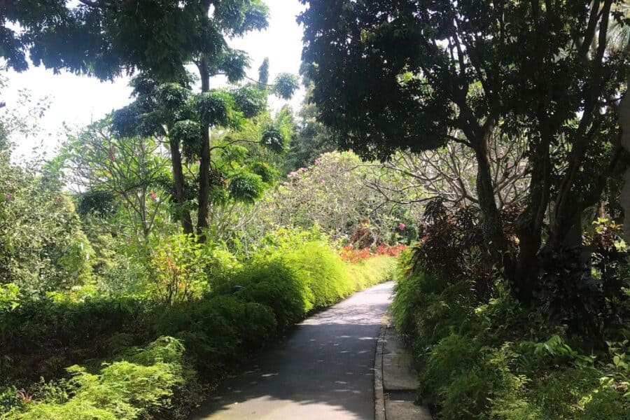 Enjoying the green parks and garden walks in Singapore.