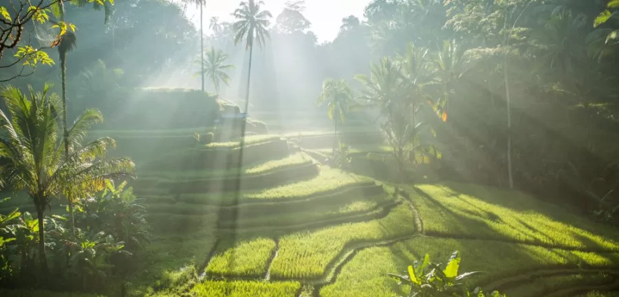 5 days in Bali