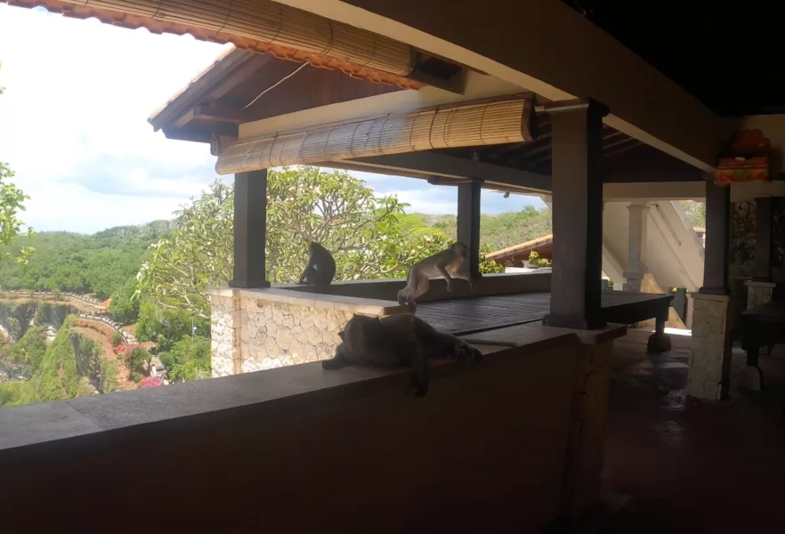 Cheeky-monkeys-at-Uluwatu-Temple