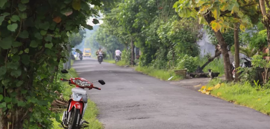 Renting a scooter in Bali & Scooter Road Trip