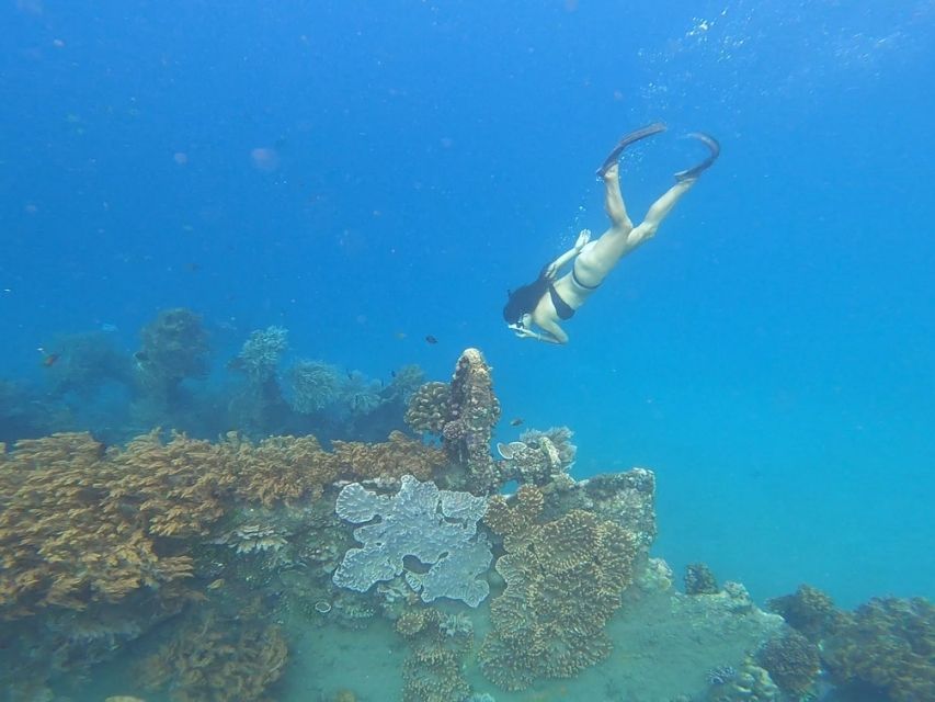 Free diving, Bali.
