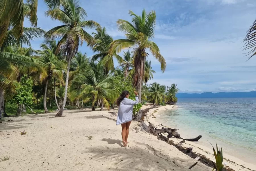 Sandy beaches, blue skies and coconut trees on paradise islands