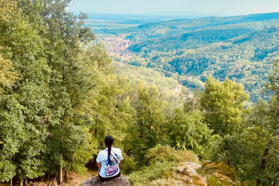 The view from Chateau du Spesbourg, Andlau village can be seen in the distance.