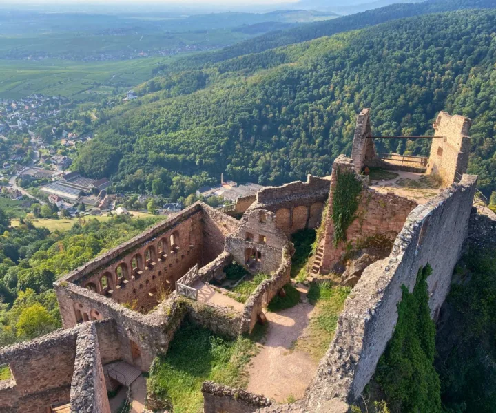 Birds-eye view of Château Saint-Ulrich while hiking in Alsace, France