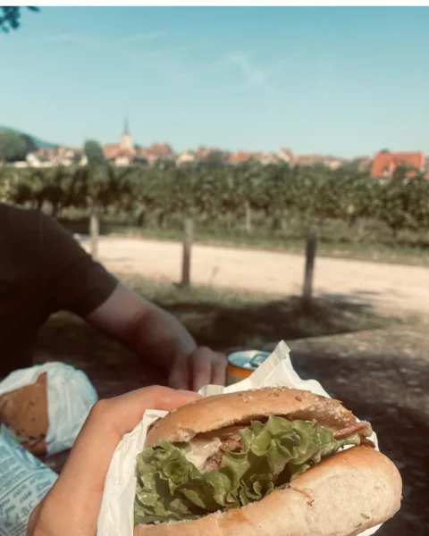 Alsce most beauitful village, Mittelbergheim, in background with burger in foreground