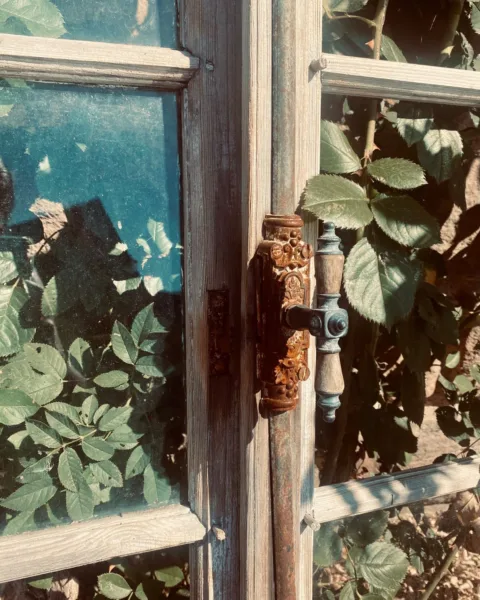 old windows in Alsace