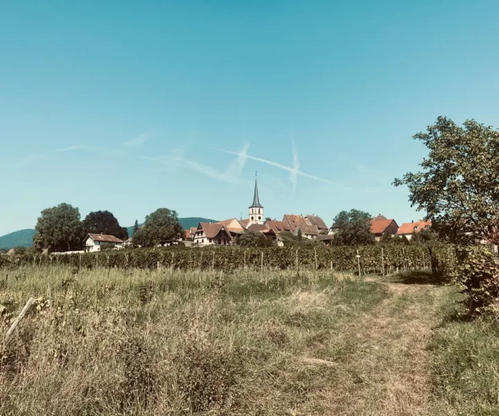 Scenic shot of Alsace most beautiful village,, Mittelbergheim