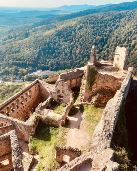 Abi and Jack at Château Saint-Ulrich in Alsace, France