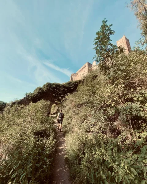 Hiking in Ribeauville, Alsace