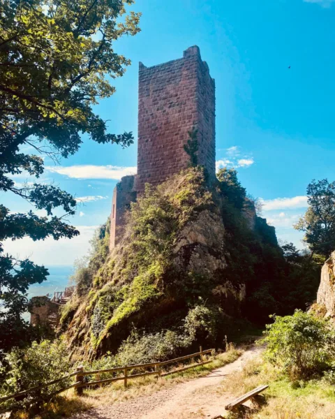 Chateau du Girsberg in Ribeauville, France