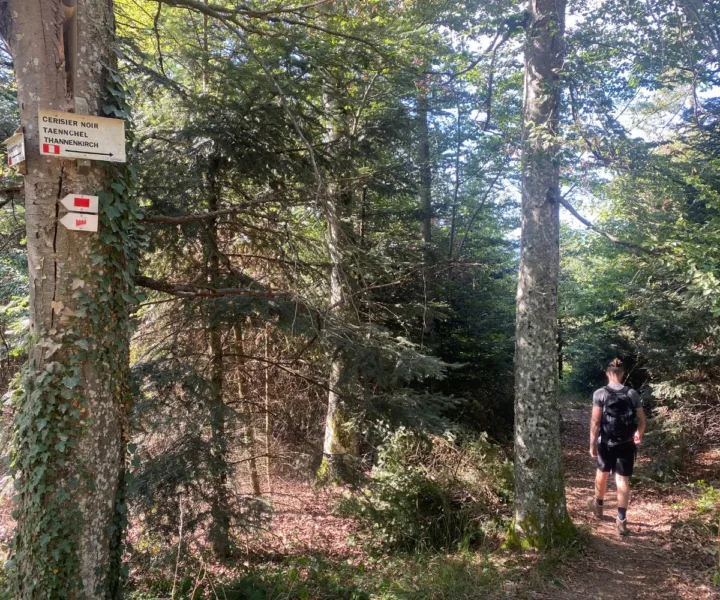 Jack following the trail to Notre Dame de Dusenbach Monastery