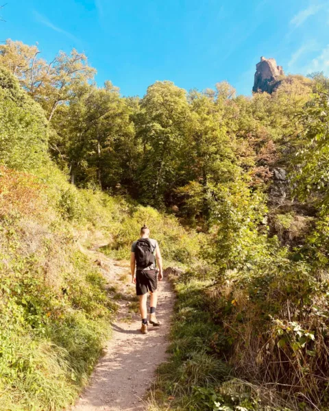 Jack walks along the start of a hiking trail in Ribeauville, Alsace, France