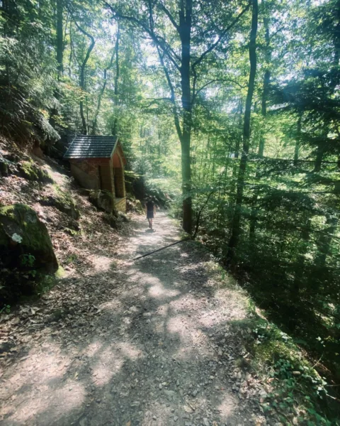 Jack following the Stations of the Cross, Notre Dame de Dusenbach Monastery
