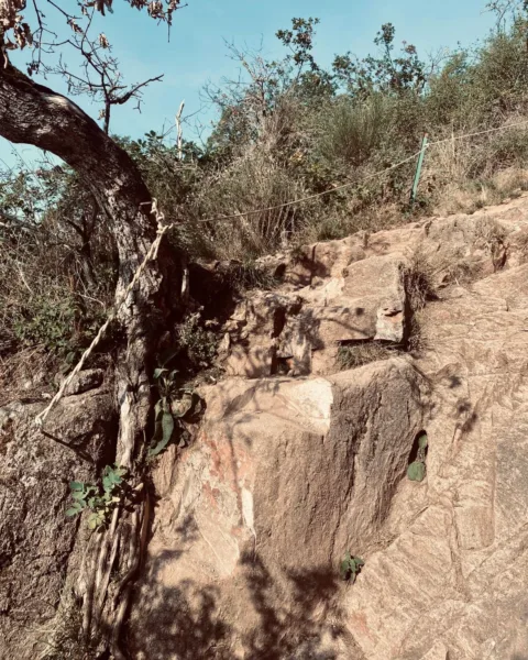 steep steps indicating the path