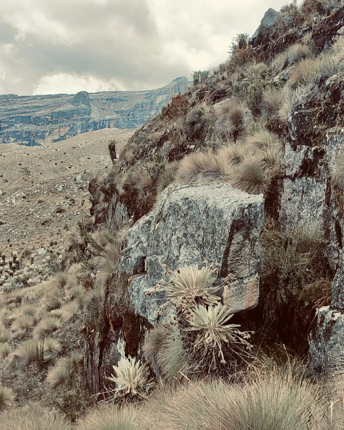 Boulders along the trail.