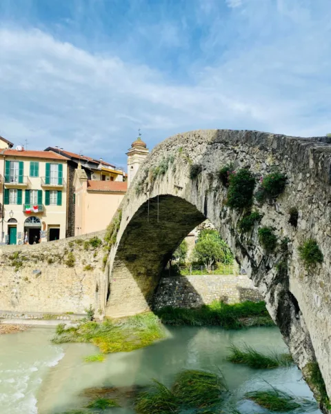 Monet's bridge.