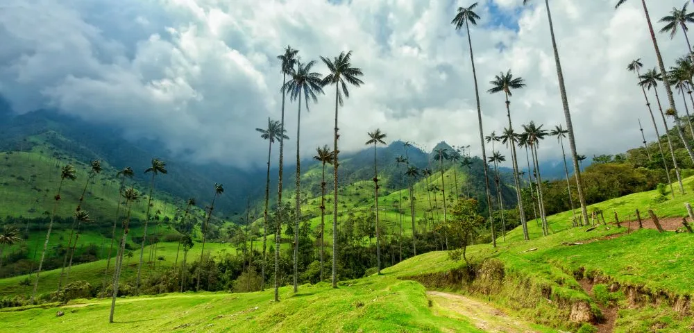 Colombie Climate Best (& Worst) Time Of The Year To Visit Colombia: Weather By Month