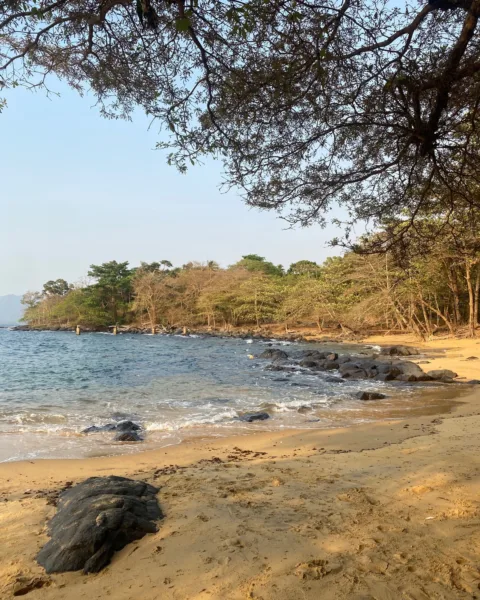 The banana islands private beach at Daltons Banana Guesthouse