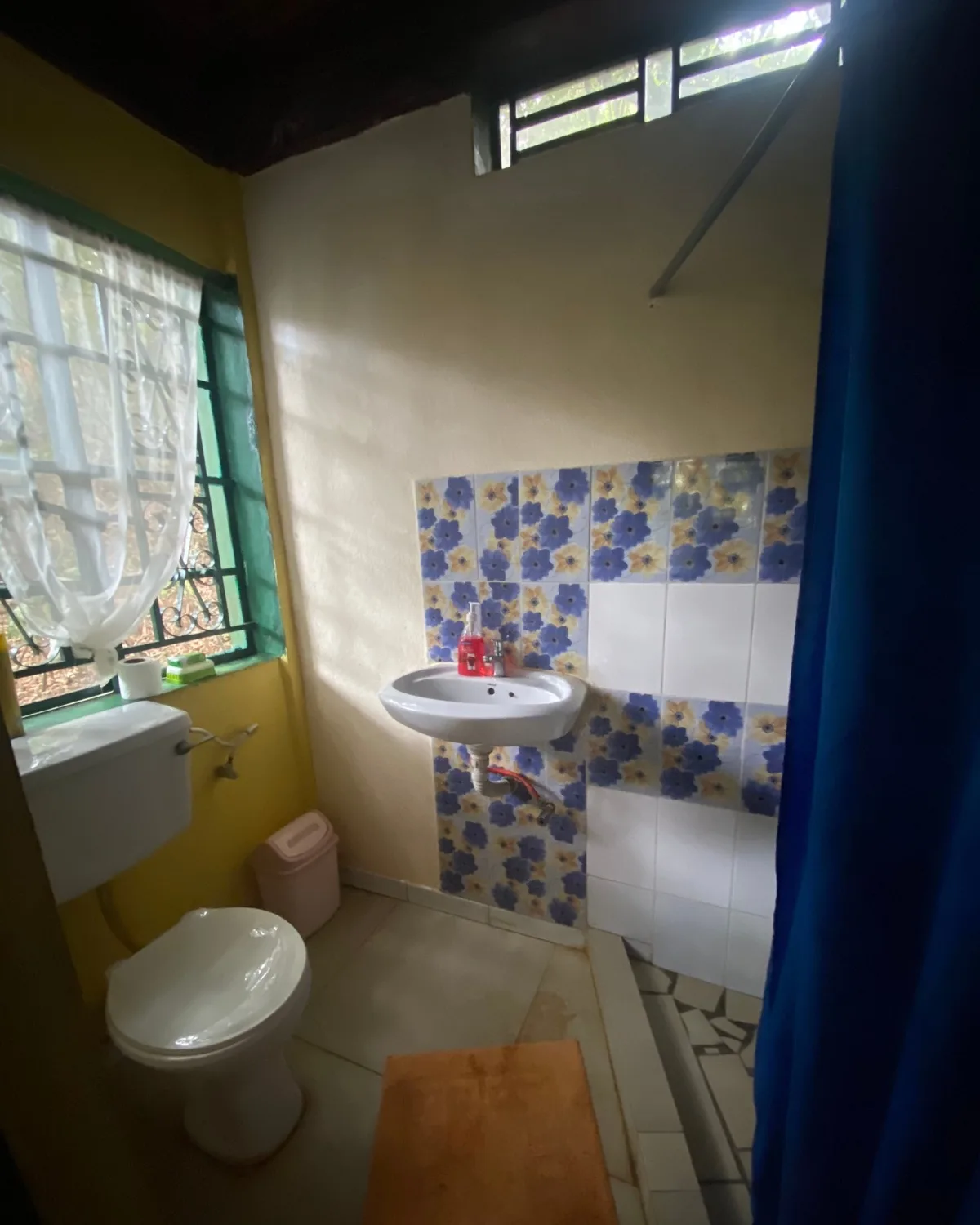 Bathroom and washroom at chimp rehab centre in Sierra Leone 