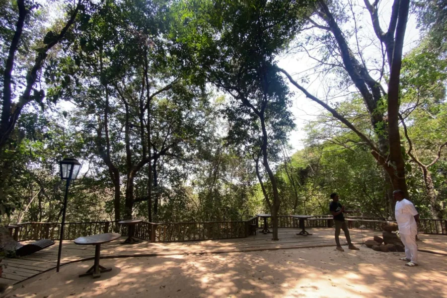 Event space with decking and tables set amongst the forest.