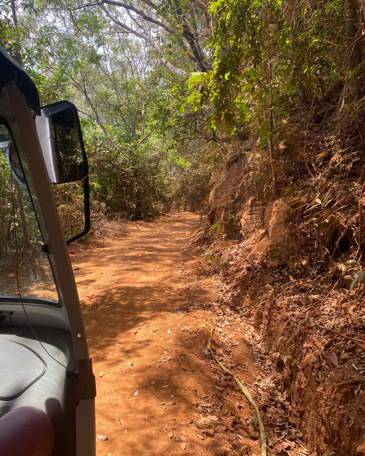 The dirt track leading to
Tacugama Chimp Sanctuary in Sierra Leone