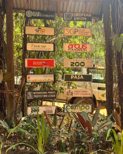 Plagues listing organisations collaborating with Tacugama Chimpanzee Sanctuary