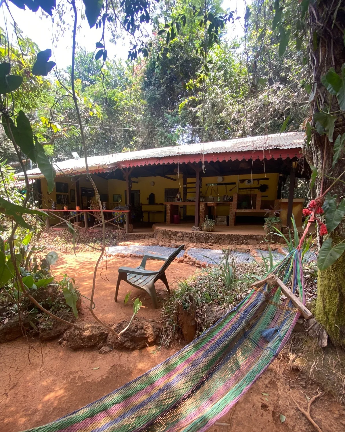Communal area at tacugama chimpanzee
Sanctuary 