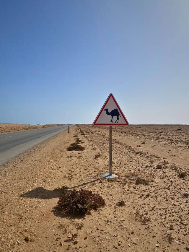 Add a camel ride to a 10 day Morocco itinerary.