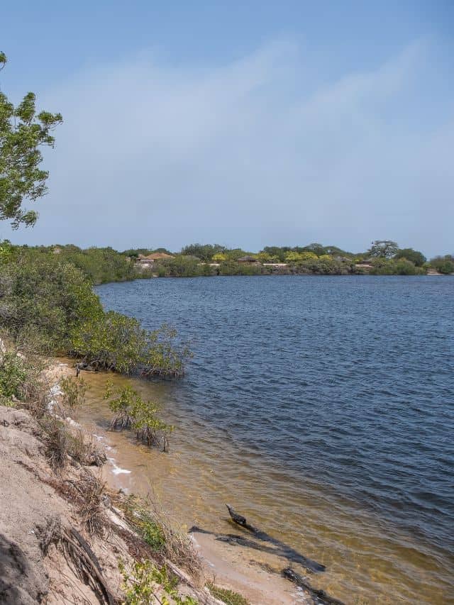 The Saloum Delta in Senegal is worth visiting for nature and wetland wildlife.