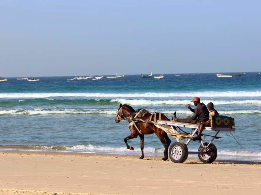 Horse and cart along the beach