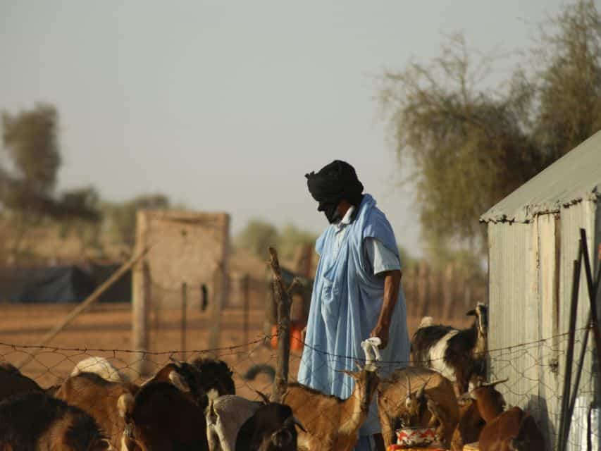 Farmer in Mauritania