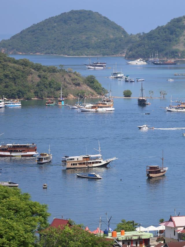 View over Labuan Bajo port with boats anchored in the bay
