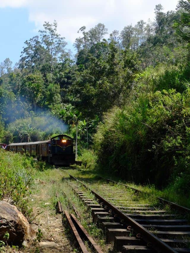 Old-style Sri Lankan train passing along the tracks near Demodara