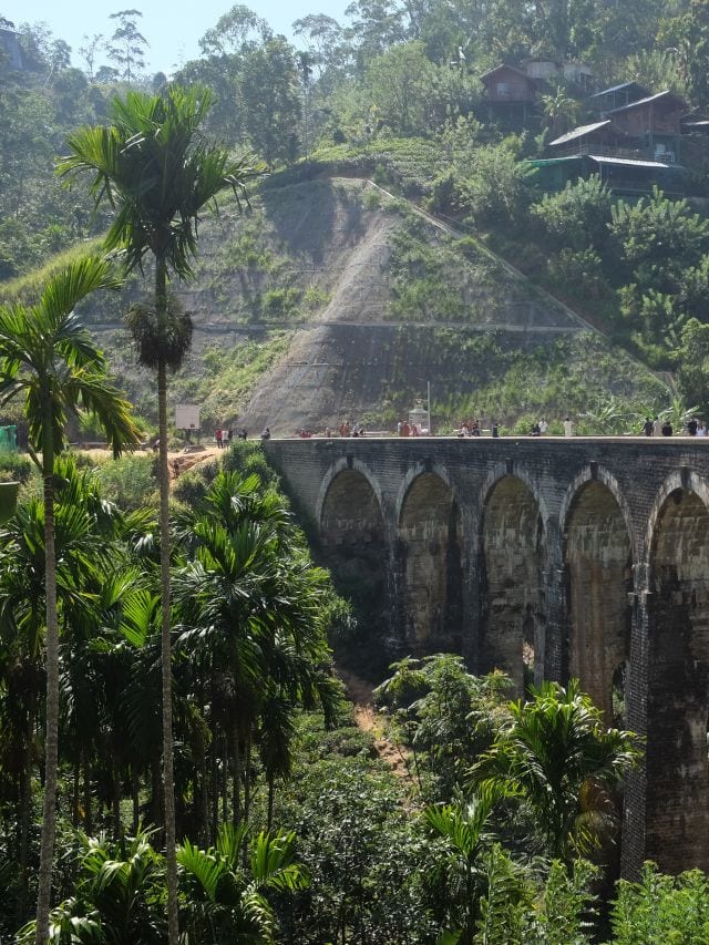 Nine Arch Bridge in Ella surrounded by palms and hillside greenery