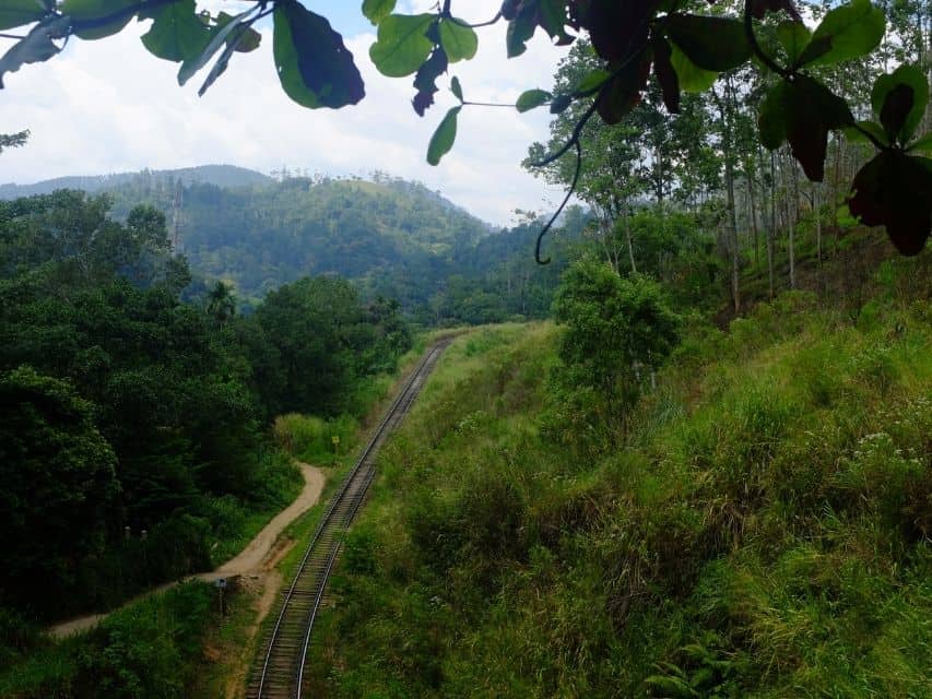 Curving track and valley views at the Demodara Railway Loop