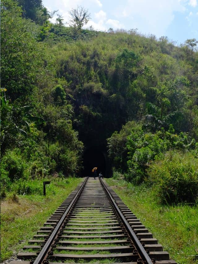 Tunnel on the railway walk from Nine Arch Bridge to Demodara