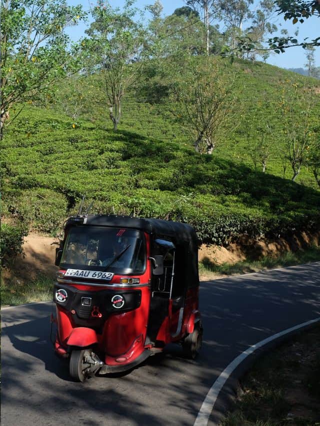 Red tuk-tuk driving past tea plantations near Demodara