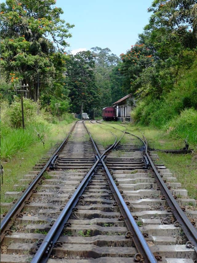 Railway tracks splitting near Demodara Railway Loop station area